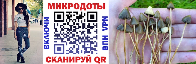 Псилоцибиновые грибы мухоморы  где найти   Цимлянск 